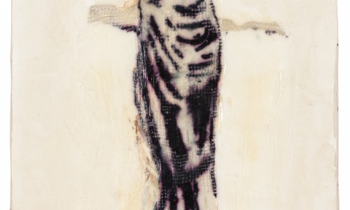 The Library of Front Deposit No. 15, Pigeons Steps