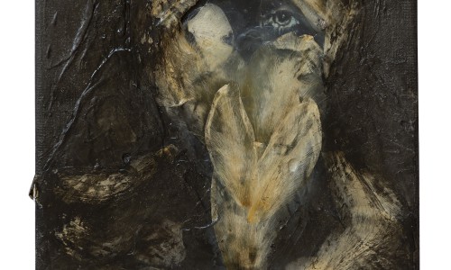 Eyes – Light – Education