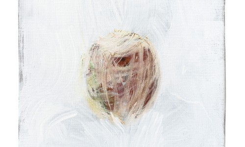 In the body of shadows